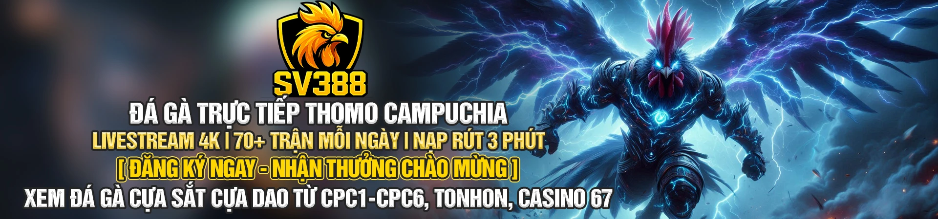 SV388 - Đá Gà Trực Tiếp Thomo Campuchia LIVESTREAM 4K | 70+ TRẬN MỖI NGÀY | NẠP RÚT 3 PHÚT