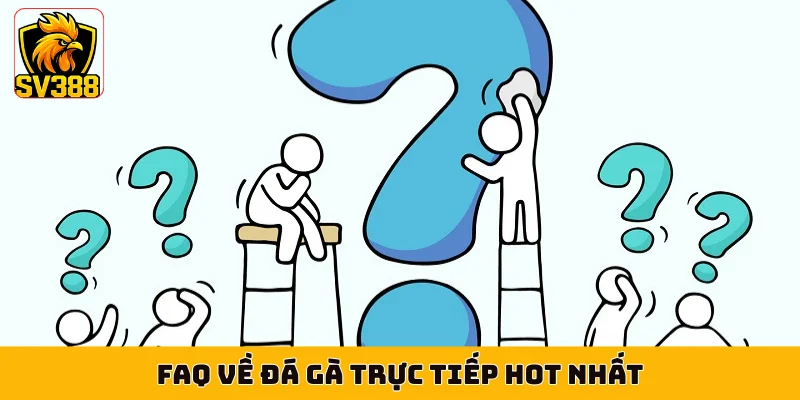 FAQ về đá gà trực tiếp hot nhất
